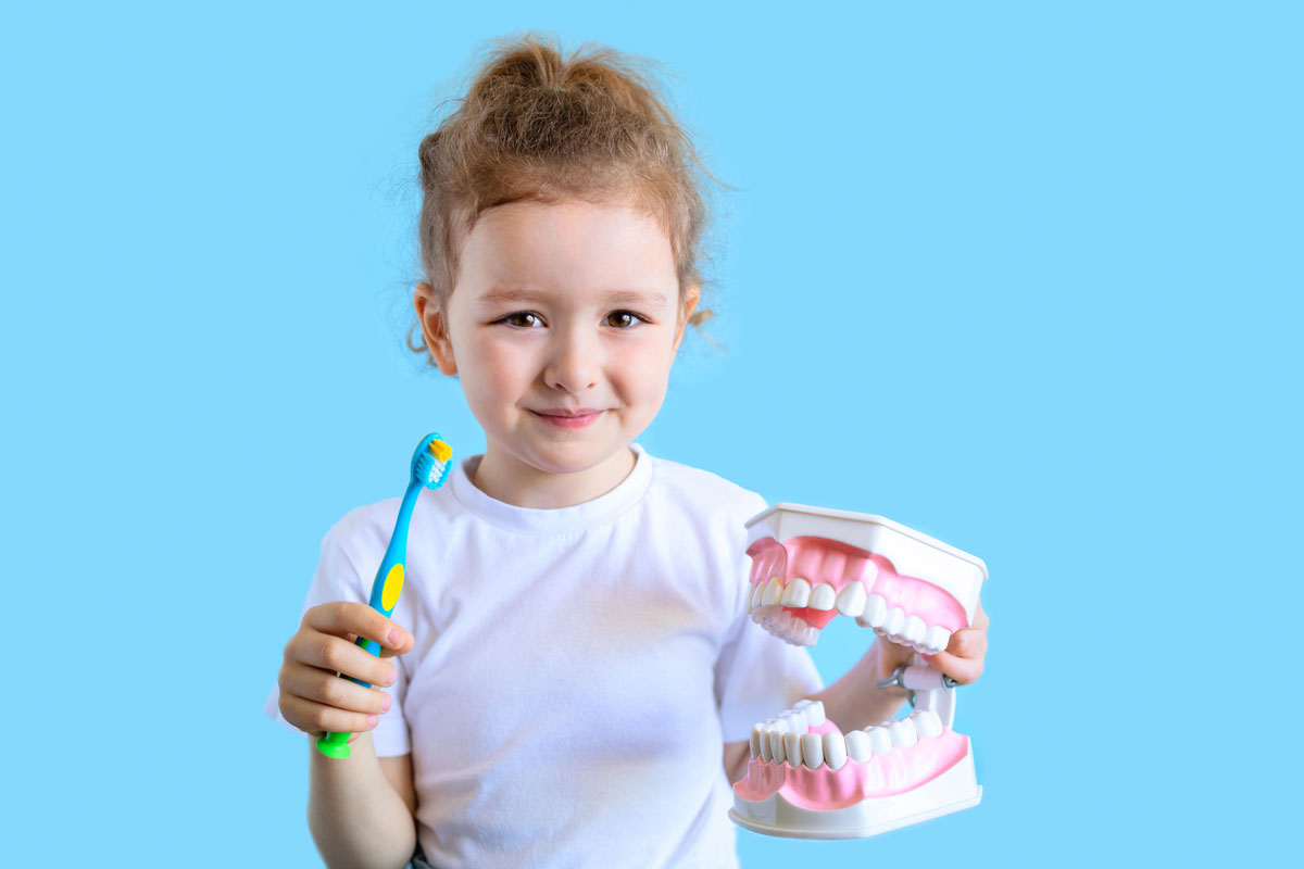 Bambina con spazzolino e denti giocattolo